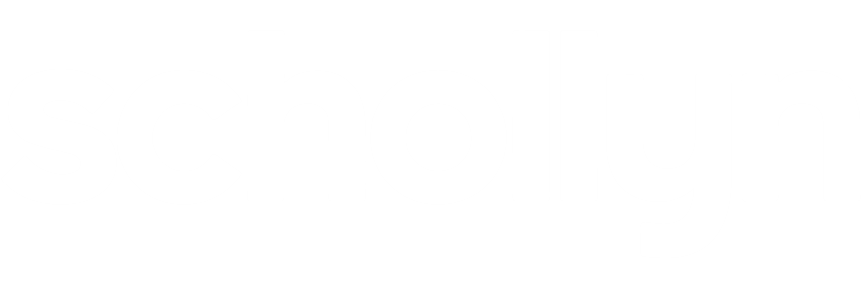 Birdlin logo